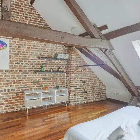 Nice atypical apartment, Vieux Lille *