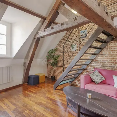 Nice atypical apartment, Vieux Lille