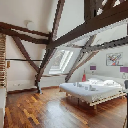 Appartement Nice atypical apartment, Vieux Lille *